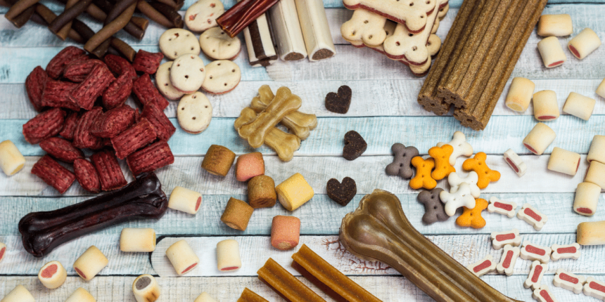 19 Best Pet Food Companies In Mumbai For Your Pet