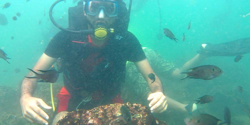 Scuba Diving in Malvan