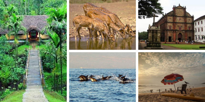 Top Five Places You Need To Visit During Goa Trip