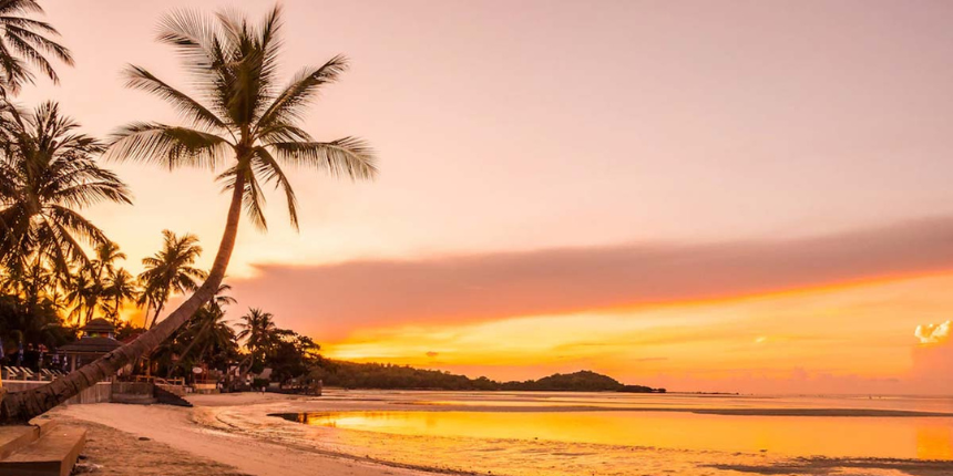 Things To Do In Goa For An Exciting Vacay!
