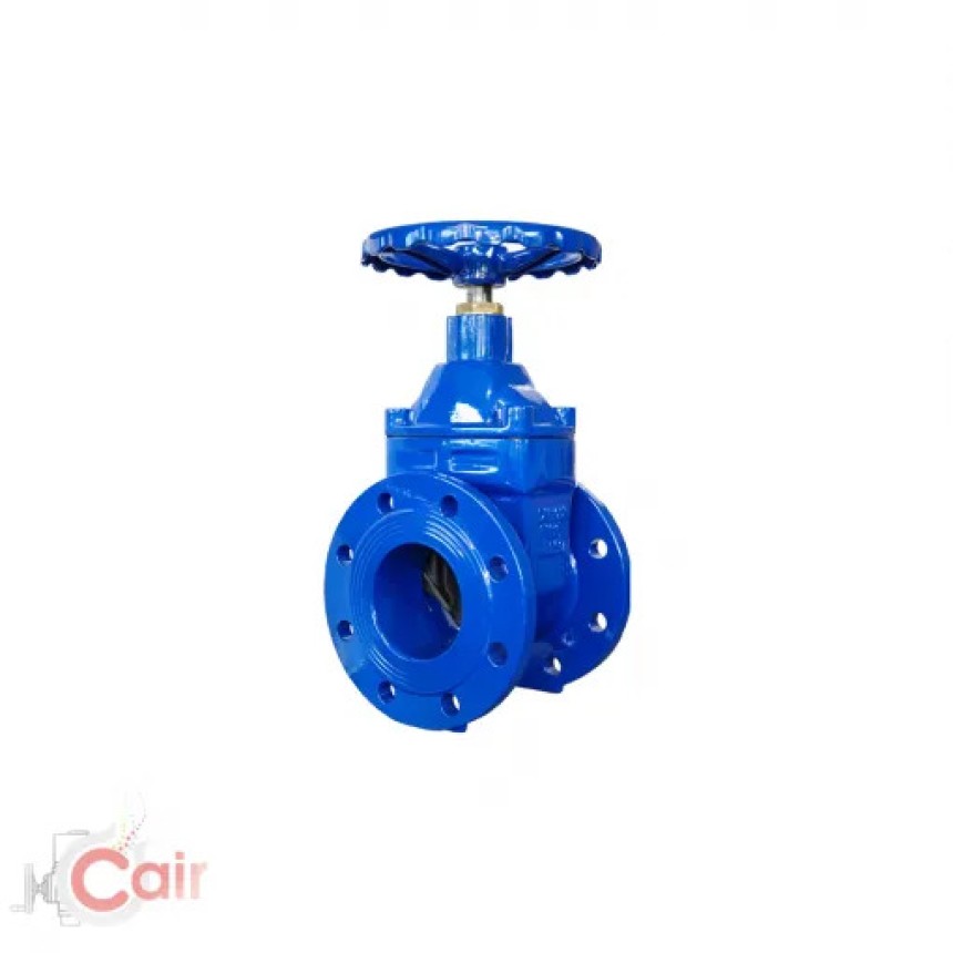 The Ultimate Guide to Resilient Gate Valves: Design, Function, and Applications