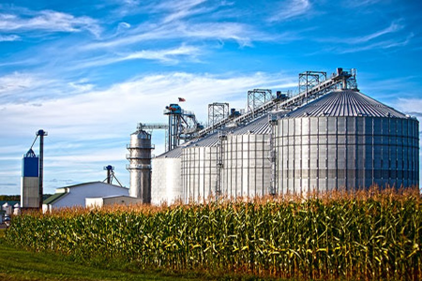 The Role of a Biofuel Plant Supplier in the Transition to Sustainable Energy
