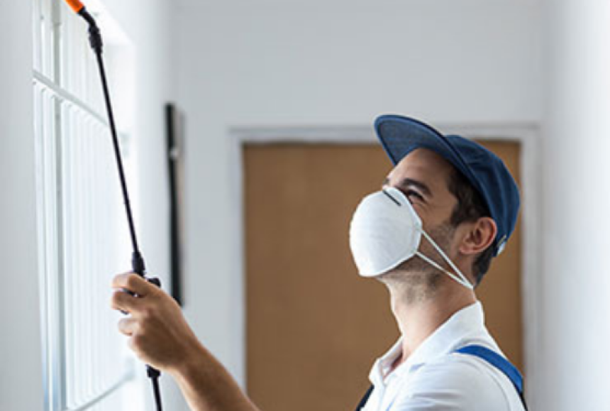 Common Pests in My Area: How Pest Control Near Me Can Help