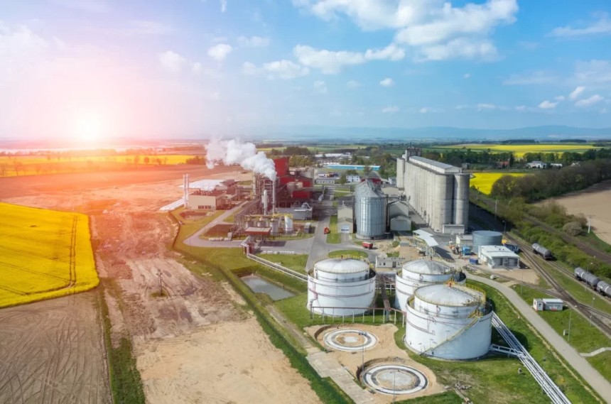Fueling Sustainability The Vital Role of Biofuel Plant Suppliers in Renewable Energy