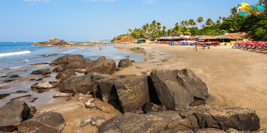 Calangute Beach