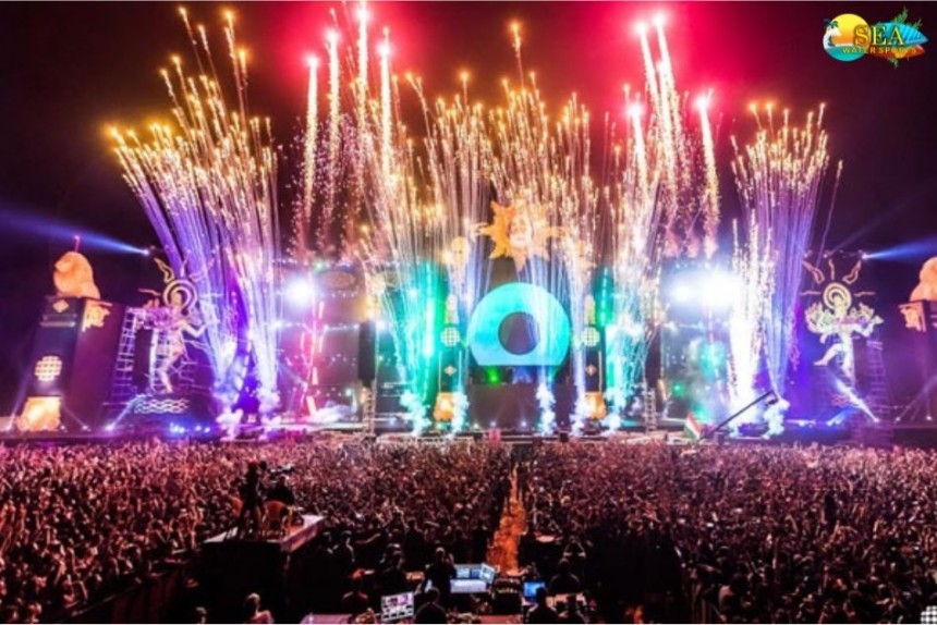 Sunburn Festival