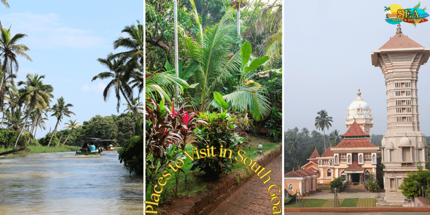 Discover the Enchantment: Places to Visit in South Goa with Sea Water Sports