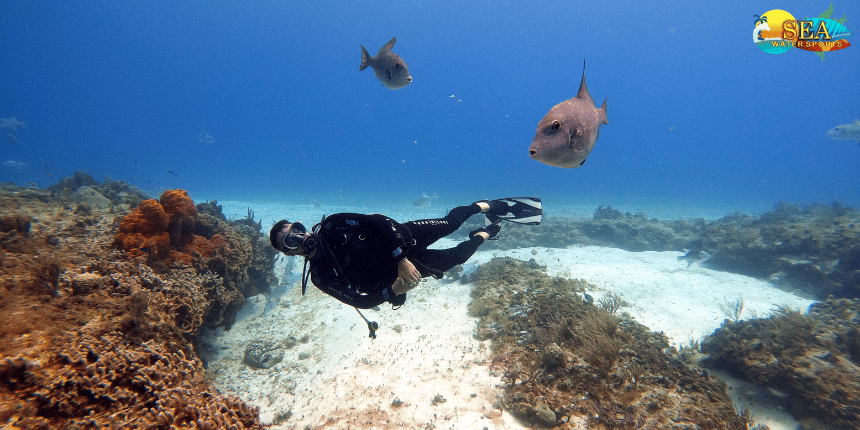 Scuba Diving in Goa