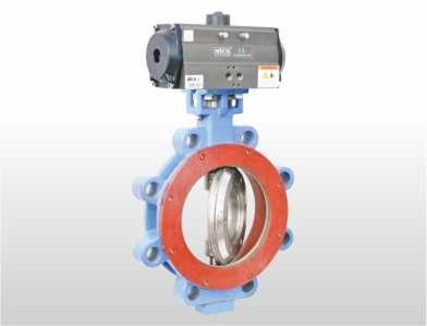 Leading Butterfly Valve Manufacturer in India