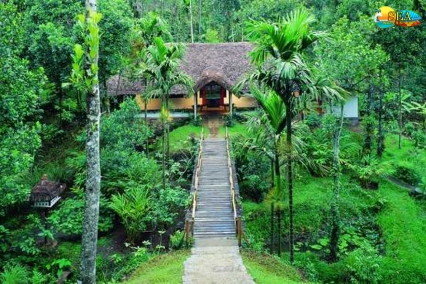 Tropical Spice Plantation