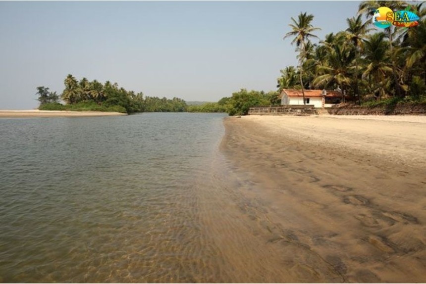 Candolim Beach