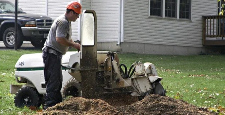 Stump Grinding Cost Guide in New Jersey
