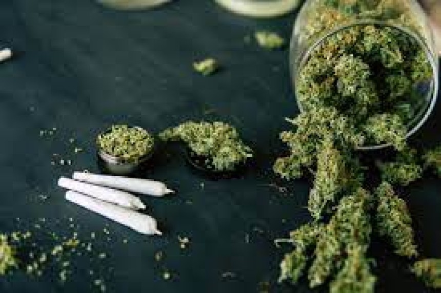 Blossoming Bliss: Navigating the Green Scene with the Best Dispensary in Washington, DC