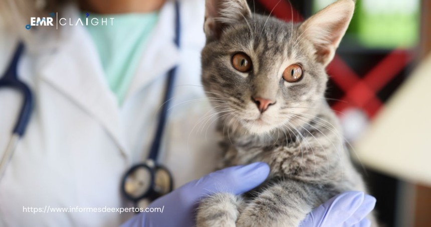 Spain Veterinary Care Market Witnessed Substantial Growth in 2023, Set for 7.80% CAGR During 2024-2032