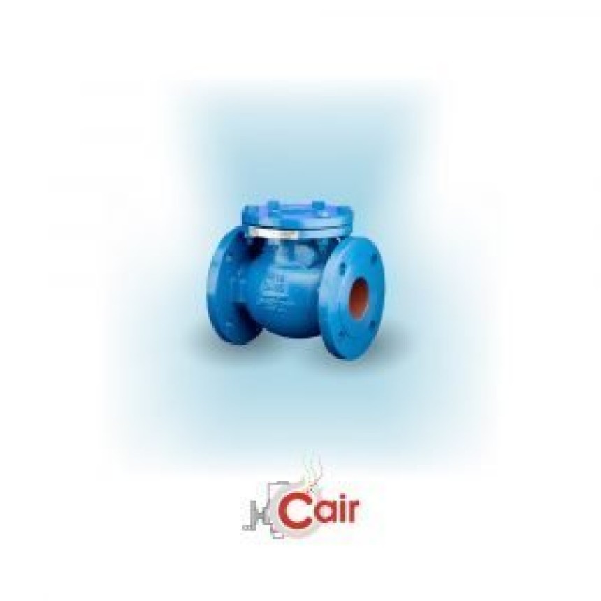 Unveiling the Secrets of NRV Valve: Your Essential Guide