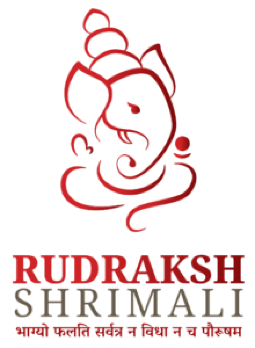Top Astrologer in Jodhpur From Rudraksh shrimali