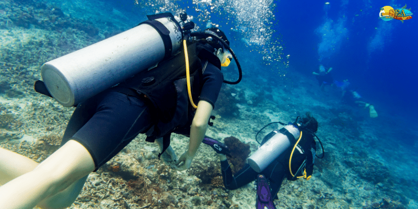 Best Scuba Diving in Goa