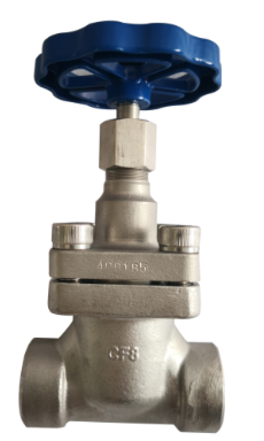 Cryogenic Globe Valve Manufacturers