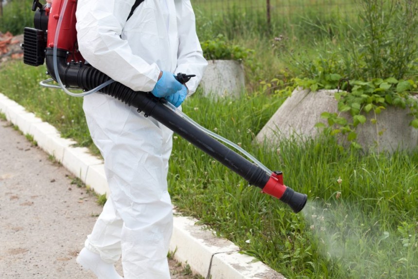 Pest-Free Living Begins Here: Siddhivinayak Pest Control - Your Local Source for Quality Pest Control