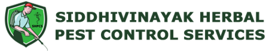 Find the Ultimate Cockroach Pest Control Near Me with Siddhivinayak Pest Control’s Specialized Services