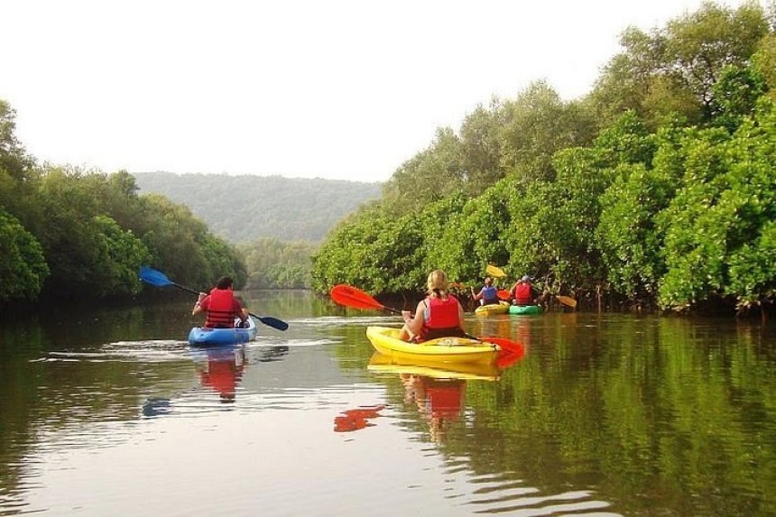 Discover the Best Place for Kayaking in Goa: Explore Serene Waters