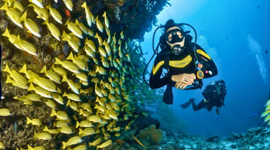 Best Place To Do Scuba Diving In Goa: Exploring the Underwater Wonders