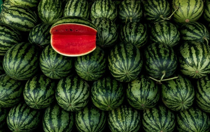 How to Grow Organic Watermelon: A Guide for Beginners