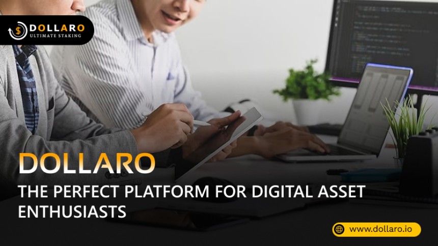 What Makes Dollaro the Perfect Platform for Digital Asset Enthusiasts?