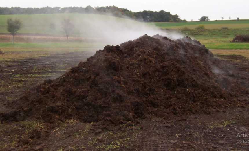 What Are the Key Differences Between Cypermethrin and Other Insecticides?