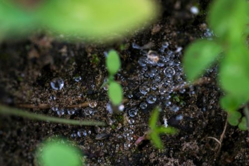 How Farms Benefit From Lithium-Ion Battery-Powered Tools