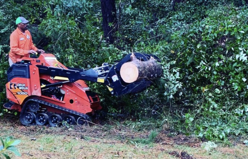 Top Tree Removal Services in Mississippi