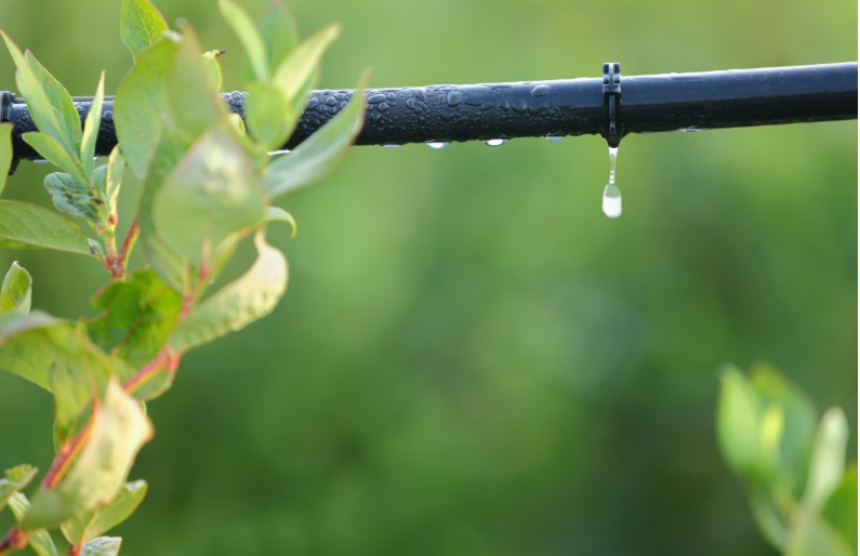 Key Accessories for Farming Success: From Tools to Technology
