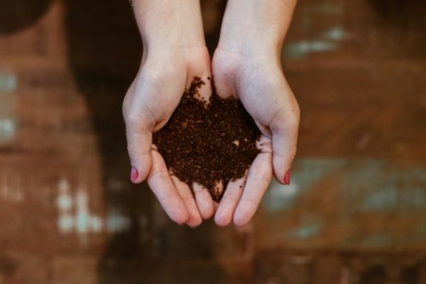 Should Imidacloprid 30.5% SC Be Used in Home Gardening?