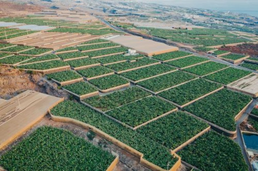 How to Fix Pest Resistance Issues with Pro Insecticides