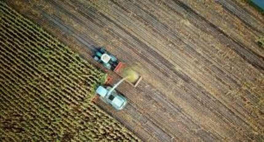 What You Should Know About the Pricing of Chlorpyrifos 50 EC in 2025