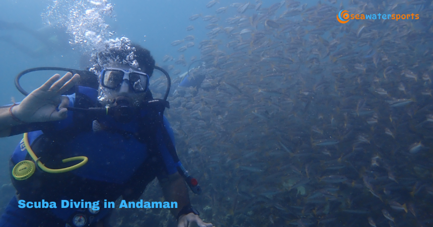 Discover the Magic Beneath: Scuba Diving in Andaman