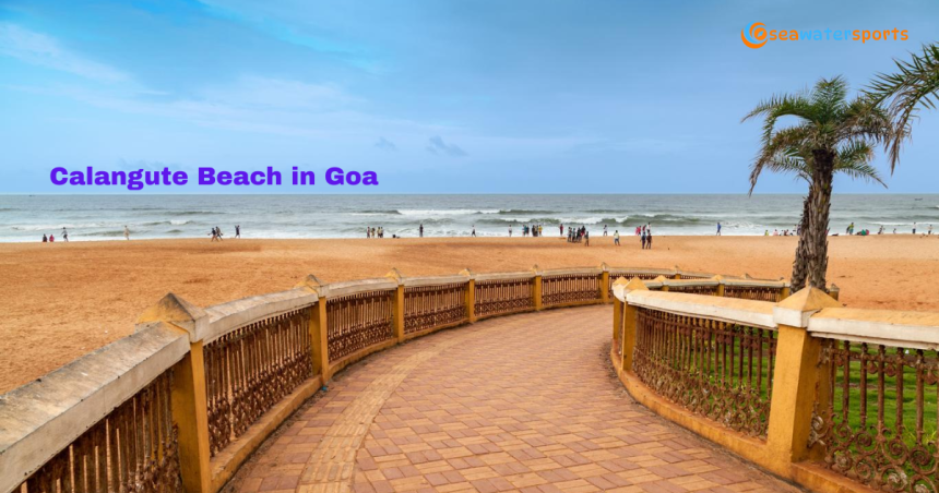 Feel the Buzz of Calangute Beach in Goa: A Place Where Every Day Feels Like a Holiday