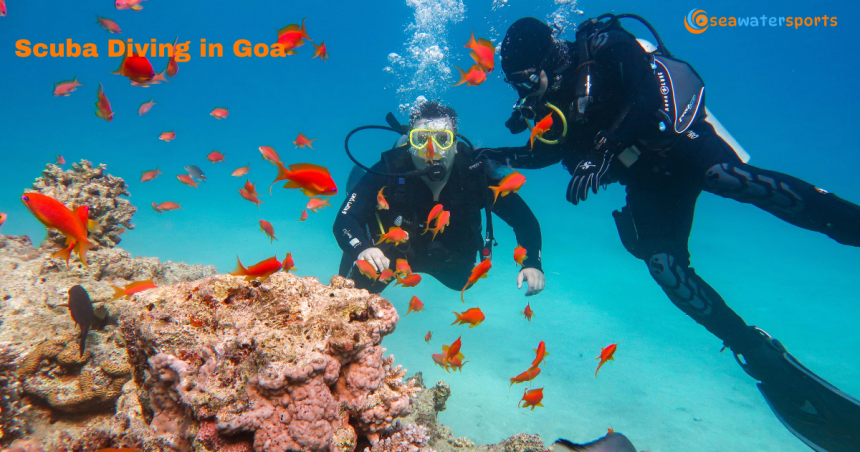 Scuba Diving in Goa vs Snorkeling in Goa – Which One Feels More Magical?