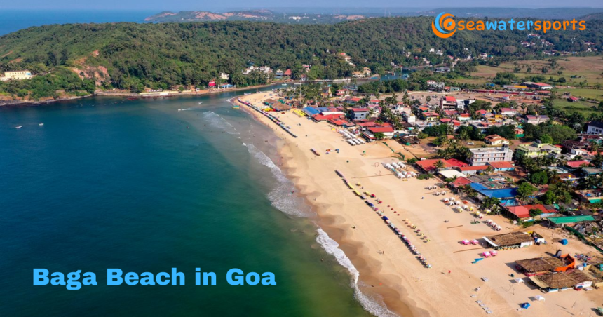 Is Baga Beach in Goa Worth Visiting? Here’s Everything You Need to Know