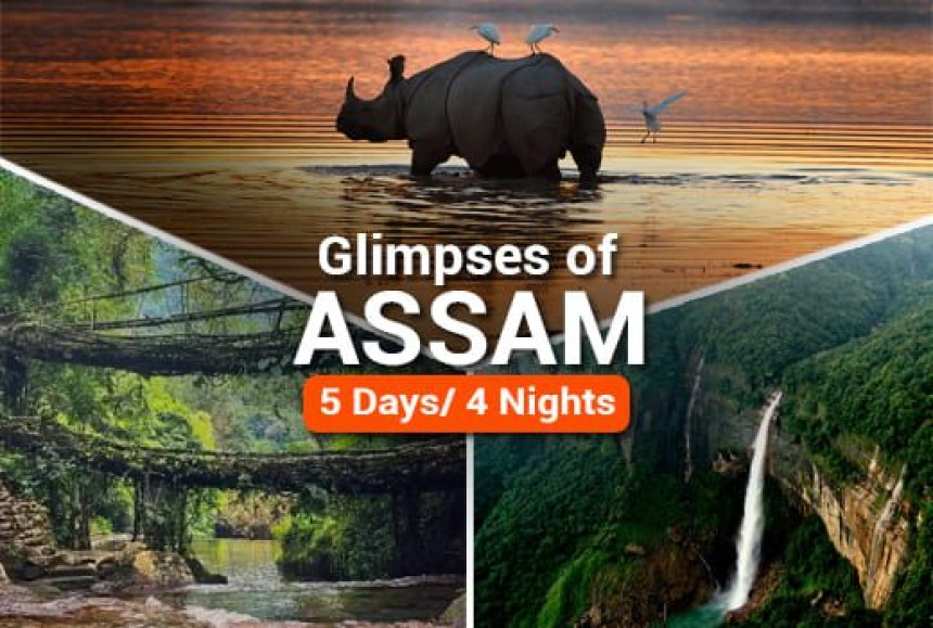 Explore Wildlife with a Perfect Kaziranga Tour Package