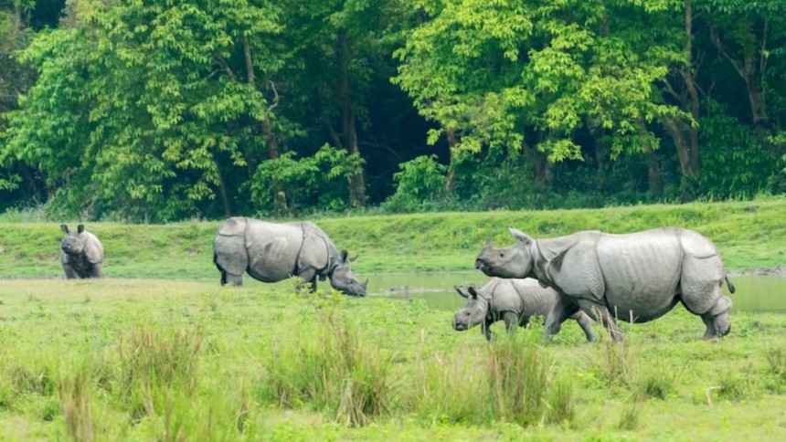 Assam