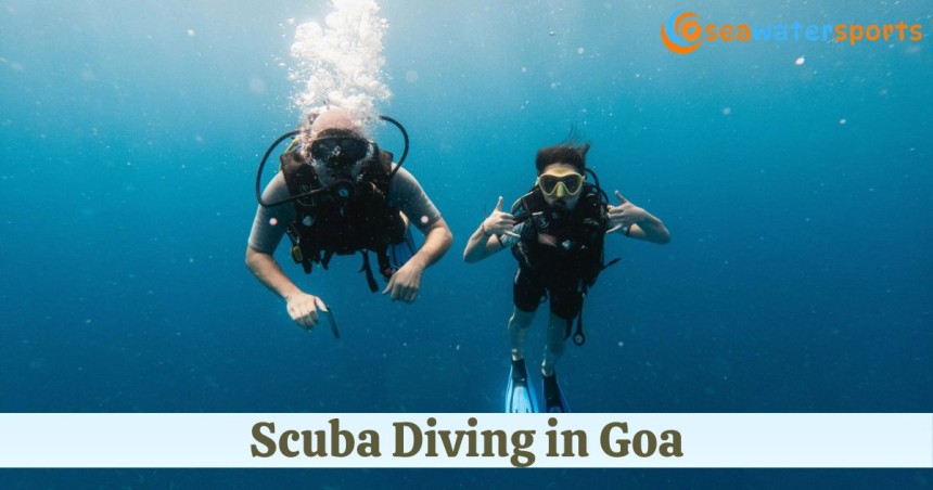 Scuba Diving in Goa