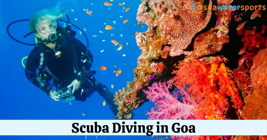 Scuba Diving in Goa