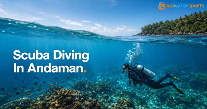 Scuba Diving In Andaman